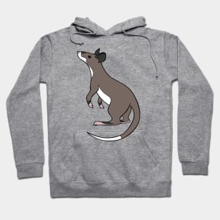 Gambian Pouched Rat Hoodie